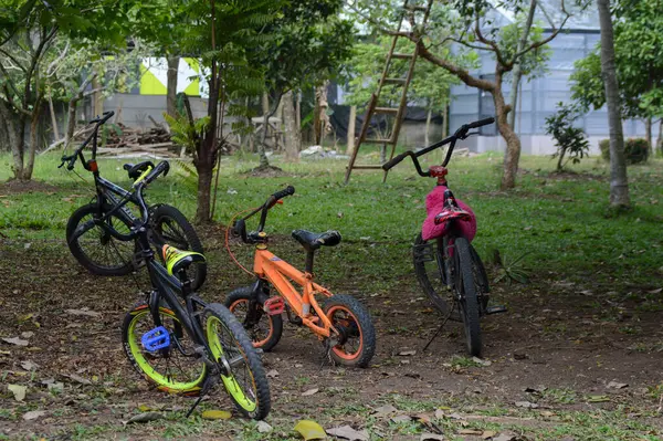 Birçok bisiklet ağaçların altında park edilmiştir.