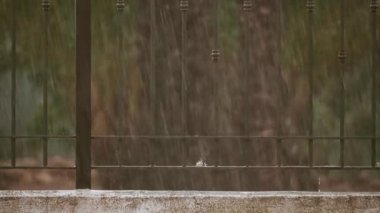 Yaz fırtınası ve yağmur yavaş hareket eden fırtına ve yağmur yavaş çekimde