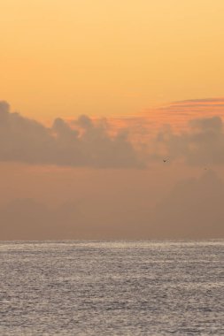 Alicia Körfezi 'nde herhangi bir sabah