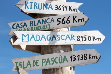 Tuhaf işaretleri olan güzel bir ahşap.