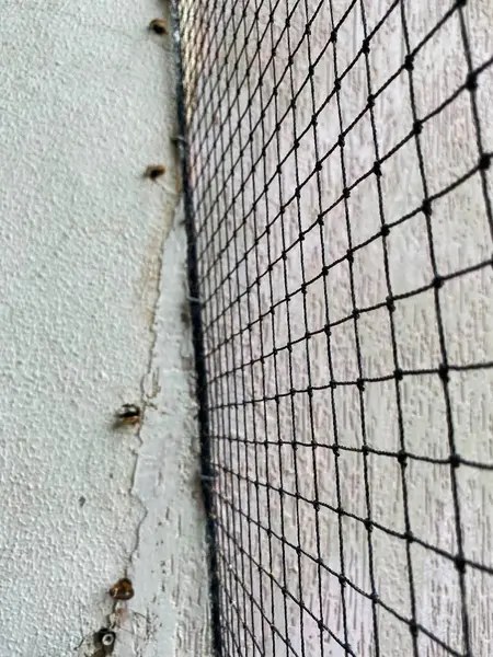 stock image The net, made of fine, dark threads, creates a delicate and intricate pattern, providing a stark contrast to the wall behind it.