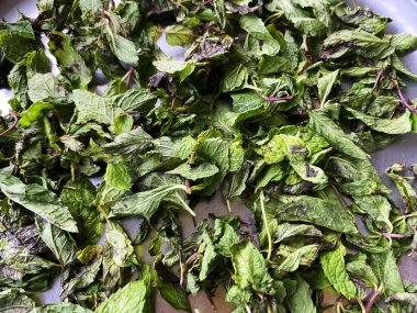 Yeni yıkanmış nane yaprakları paslanmaz çelikten bir tabakta dinleniyor. Canlı yeşil renkleri damlacıklar buharlaşırken parlıyor.. 