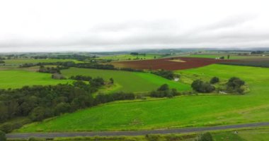 Çarpıcı 4K drone görüntüleri. Bitmek bilmeyen yemyeşil tarlaları ve pitoresk pastoral manzaraları deneyimlemek, doğal güzelliklere nefes kesici bir kaçış sunuyor. 4K, QLD, Avustralya 'daki kırsal manzara ve çiftlikler