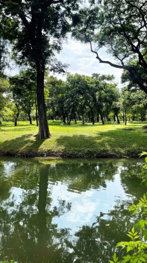 Şehir parkının güzel manzarası