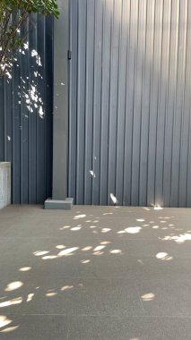 Boş Duvarlı Gün Işığı, Boş Yer, Güneş ışığı, Boşluğu Kopyala