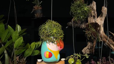 Güzel tropikal çiçekler Balkonda asılı, Balkonda çiçek 