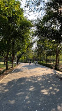 Park 'ta Boş Yol' la Gün Işığı, Park Manzarası