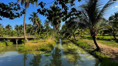 Parktaki güzel bir nehir manzarası.
