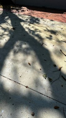 Yerdeki gölgeli ışık, şehir parkının güzel manzarası