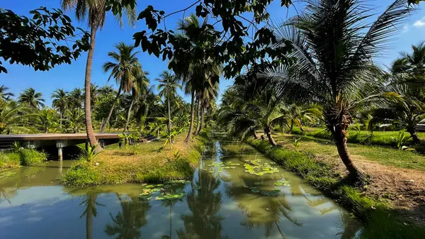Parktaki güzel bir nehir manzarası.