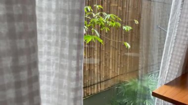 perdeli pencere ve ahşap arka planda perde