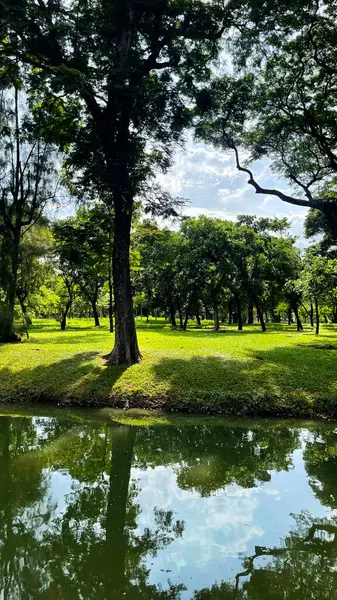 Şehirdeki yeşil park, şehir parkının güzel manzarası