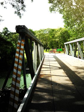 Parktaki tahta köprünün dikey görüntüsü.