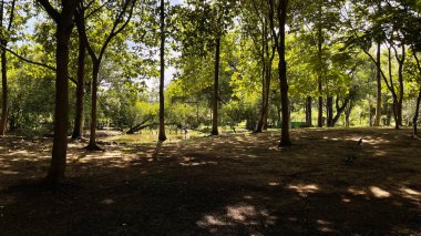 Parkın güzel manzarası