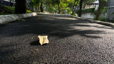 Yeşil çimenli ve beyaz asfaltlı asfalt yol