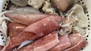 Buzda taze çiğ kalamar.