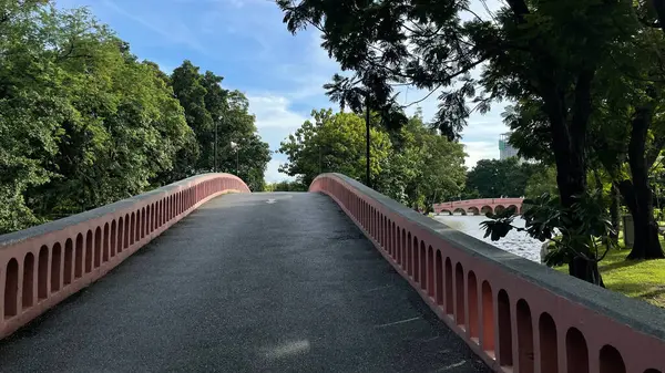 Sabahları parkın manzarası.