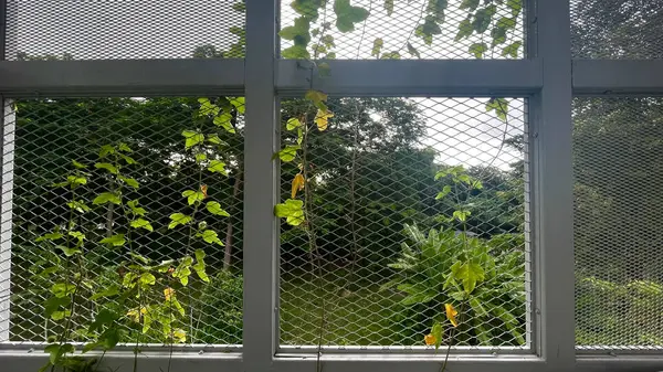 Parkın güzel manzarası