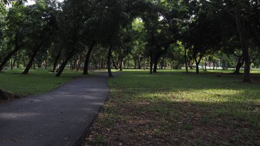 Şehrin en güzel parkı.