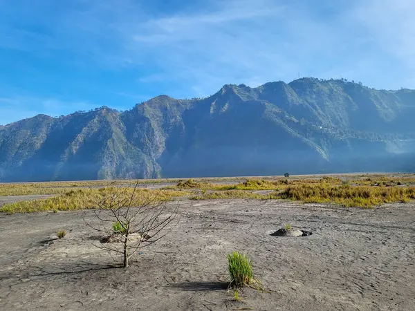 stock image The sea of sand with the background of the hills. located around Mount Batok has an altitude of 2,440 meters above sea level and is included in the Bromo Tengger Semeru National Park area.