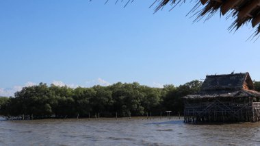 Uzaktan bakıldığında, sağ taraftaki güzel mangrov ormanının yeşil ağaçları turistlerin dinlenmesi için bambudan yapılmış bir ev. Mangrove Ormanı Wonorejo, Surabaya, Doğu Java, Endonezya