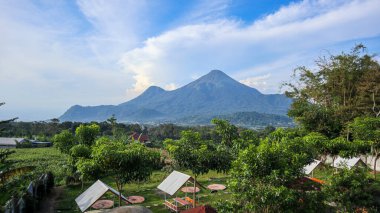 Arka bahçedeki kafede şemsiyelerin altında sandalye ve masalar var ya da sabahları Penanggungan Dağı 'nın güzel manzaralı çadırları.. 