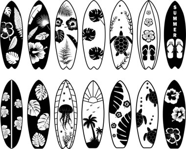 Sörf tahtası, sörf tahtası, sörf tahtası, yaz plajı.