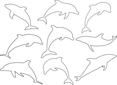 Yunus Özeti, Yunus Kaynağı, Yunus Silueti