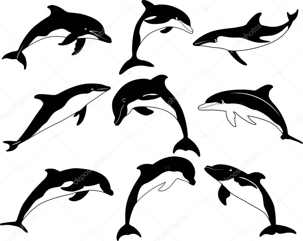 Dolphin Clipart, Dolphin Silhouette, Sea Animal
