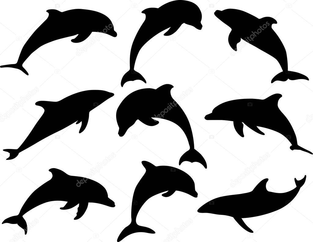 Dolphin Silhouette, Dolphin Clipart, Sea Animal
