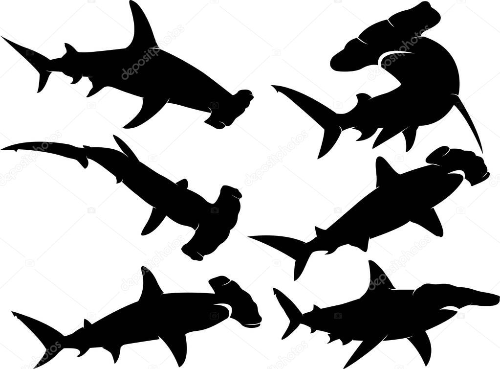 Hammerhead Shark, Sharks Silhouette, Ocean Life