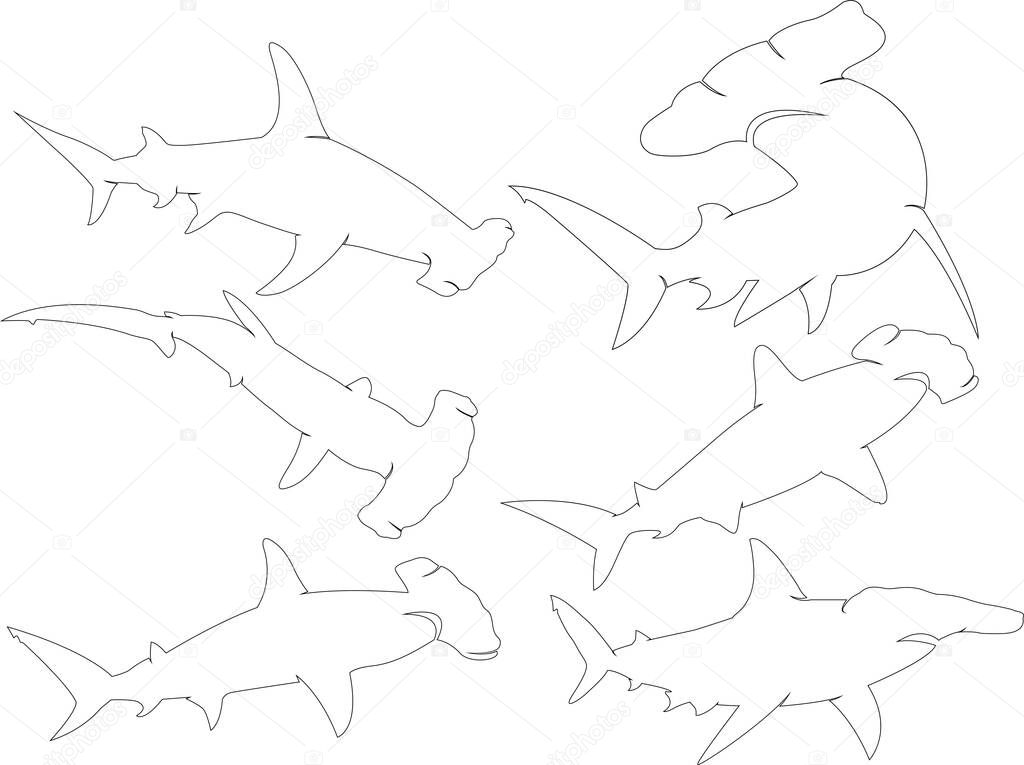 Hammerhead Shark Outline, Shark Clipart, Hammerhead