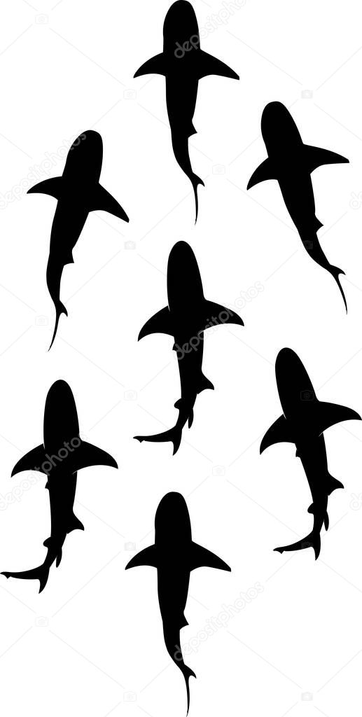 Group of Shark, Shark Silhouette, Shark Clipart, Shark Trails