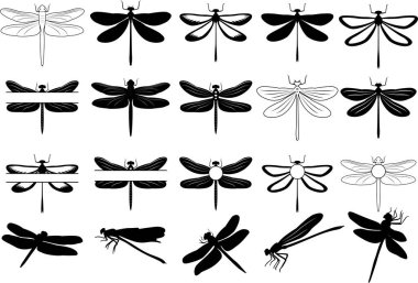 Dragonfly Monogram, Dragonfly Clipart, Dragonfly Silueti