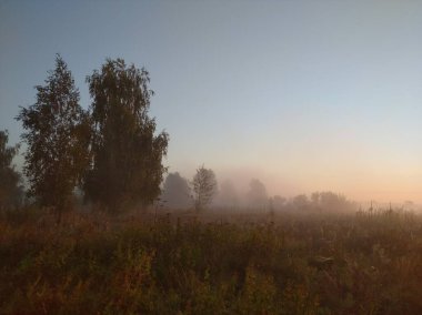 Sabah erkenden. Güneş doğuyor. Nehir kıyısı.
