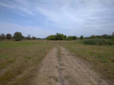 Uzağa uzanan bir yol. Doğa, köy, çayır.