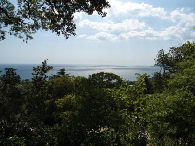Deniz manzarası, ağaçların dalları arasında.