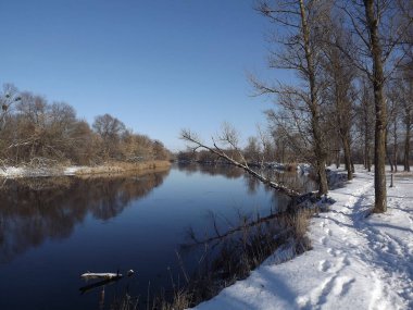 Seversky Donets nehri kışın. Orman ve kar.