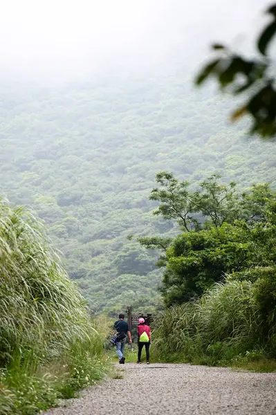 Yangmingshan Milli Parkı 'ndaki Erziping Patikası, yakınlardaki zirveler ve doğal manzaraların çarpıcı görüntüleriyle pitoresk ve ulaşılabilir bir yürüyüş deneyimi sunuyor..