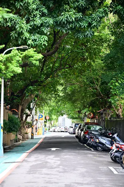 TW-01.29.24: Taipei 'nin Da' an Bölgesi 'ndeki Qingtian Caddesi' nin zengin mirasıyla tanınan fotoğrafı, dar sokaklarında gezinmek, eski Taipei 'nin sakinliği ve güzelliğine geri adım atmak gibi geliyor..