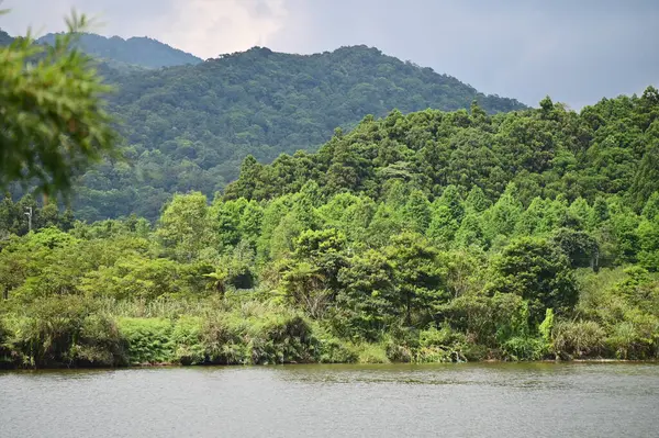 Yuanshan Kasabası, Yilan 'daki Shuanglian Pi' nin bir köşesinde tarihi doğal gölü ve 4 hektarlık yüzen bir ada vurgulanıyor..