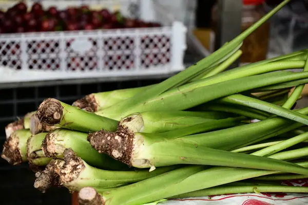 Taro sapları, taro bitkisinin eşsiz lezzeti ve çok yönlü yemek pişirme yöntemleriyle tanınan ve çeşitli mutfaklarda popüler olan yenilebilir kısımlarıdır..