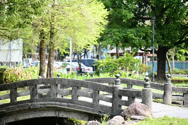 stock image Spring brings revival to the park, with trees sprouting new buds, creating a scene full of vitality. The Japanese stone bridge adds freshness and elegance, evoking poetry and painting.