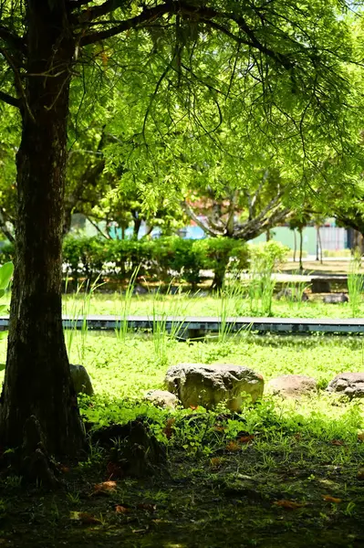 Yaz sıcağında parktaki selvi ağaçları yeşil bir gölgelik sağlar. Sessizce duran büyük bir taşın üzerine eski hikayeleri hatırlatan gölgeler bırakır..