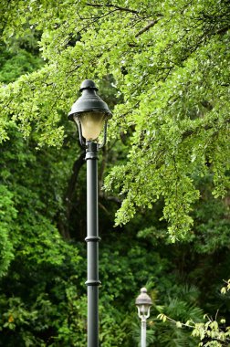 Canlı yeşil ağaçlarla çevrili bir sokak lambasının bulunduğu bir şehir parkı vahası hoş ve davetkar bir gündüz ortamı yaratıyor..