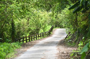 Yeşil şehir yollarının yakalanması, şehir sakinleri için doğal bir kaçış ve sağlık yararları sunarak, eğlence ve egzersiz arayışında bir numaralı seçenek haline geliyor..