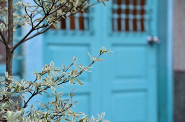 Tayvan - Ağustos 03, 2024: Geleneksel bir posta kutusu ve telefon kulübesinin nostaljik kontrastını yakalayın, geçmiş dönemin sembolleri modern teknolojiyle yer değiştiriliyor.