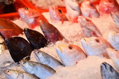 Muzlar, parlak sarı renkleriyle çocuklar ve yetişkinler tarafından sevilirler. Yüksek besin değeri sunuyorlar, vitamin ve mineral açısından zenginler ve sağlıklı bir atıştırmalık tercihi..