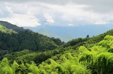 A stunning daytime view of Meishan, Taiwan, a scenic hillside town at the edge of the Chianan Plain, showcasing vast cloud and forest seas. clipart