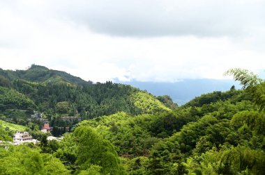 Meishan Township, located in the northern Alishan Mountains of Taiwan, is renowned for its tea production and tourism. Surrounded by lush forests, the valley is often shrouded in mist year-round. clipart